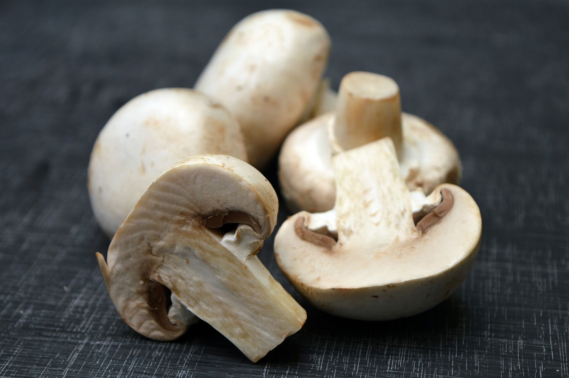 high-quality mushroom farming equipment